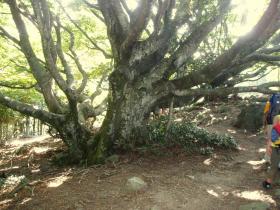 photo coins arrondis